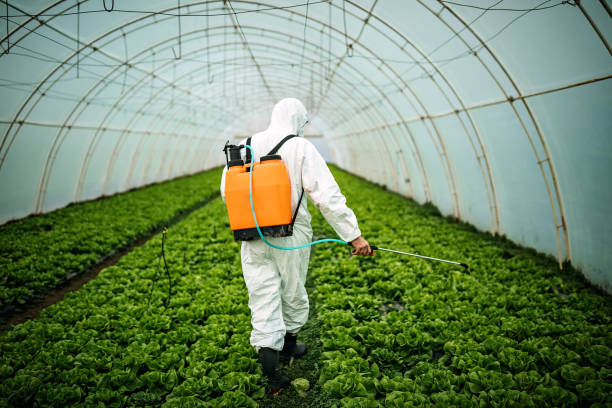 Best Pest Control Near Me  in Keewatin, MN