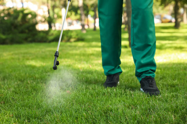 Best Best Pest Control Companies  in Keewatin, MN