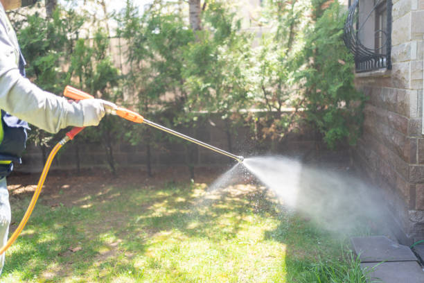 Best Best Pest Control Companies  in Keewatin, MN